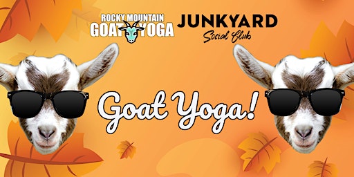 Goat Yoga - November 12th (Junkyard Social Club) | 2525 Frontier Ave suite a