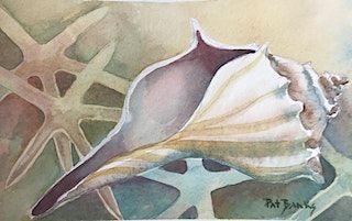 NEW Shell Serenity: Watercolor Shell Painting with Pat Banks | Berea Senior Citizens Center (Intergenerational Center behind the Russel Acton Folk Center)