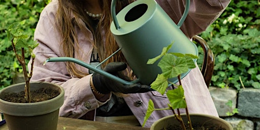 [Atelier] L'art végétal du kokedama | Pavillon de l'Arsenal