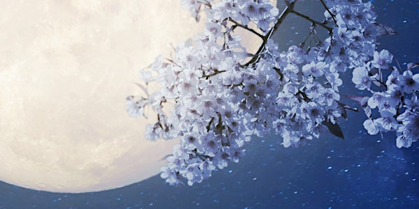 Full Moon Cleansing Workshop/Craft Night  with Sandy | 220 King St W
