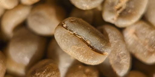 Coffee Roastery tour *in operation | Coffee Roastery Modus