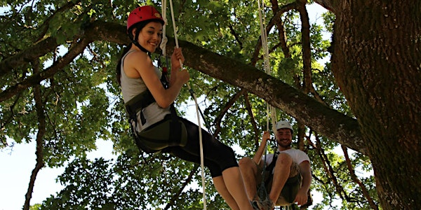 Experience the Canopy with Tree Time at Timber 2025 | Tolt-MacDonald Park & Campground