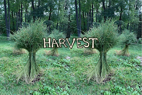 FLAX: a yearlong journey: HARVEST workshop! | Contemporary Craft - Timmons Studios