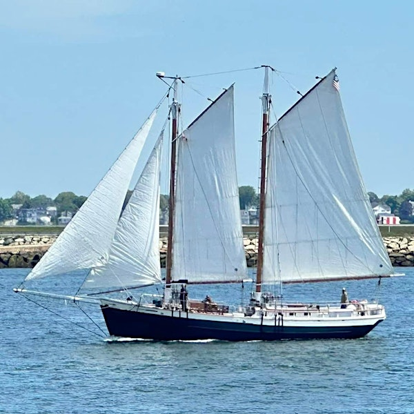 Let's Go Sailing! | Fan Pier Marina