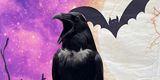 FELT A RAVEN WITH A RAVEN! | ARTlington Studios at 618 Arlington St