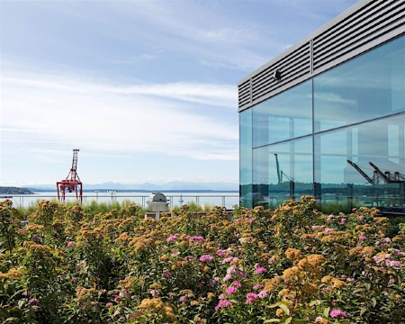 Seattle Green Roof Walking Tour w/ Coffee & Networking | 450 Alaskan Way S