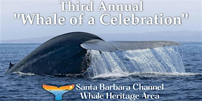 3rd Annual Whale of a Celebration | Santa Barbara Museum of Natural History
