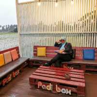Padi Box, Sekinchan 
