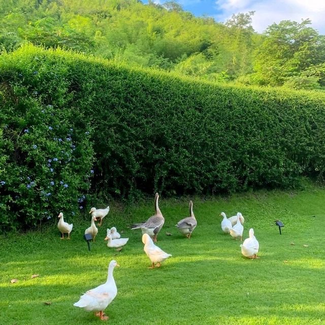 BIBURY RESORT 🇬🇧 