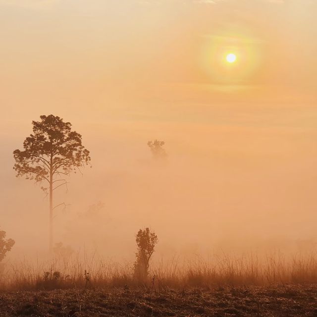 ธรรมชาติรังสรรค์ ภาพสวยงาม