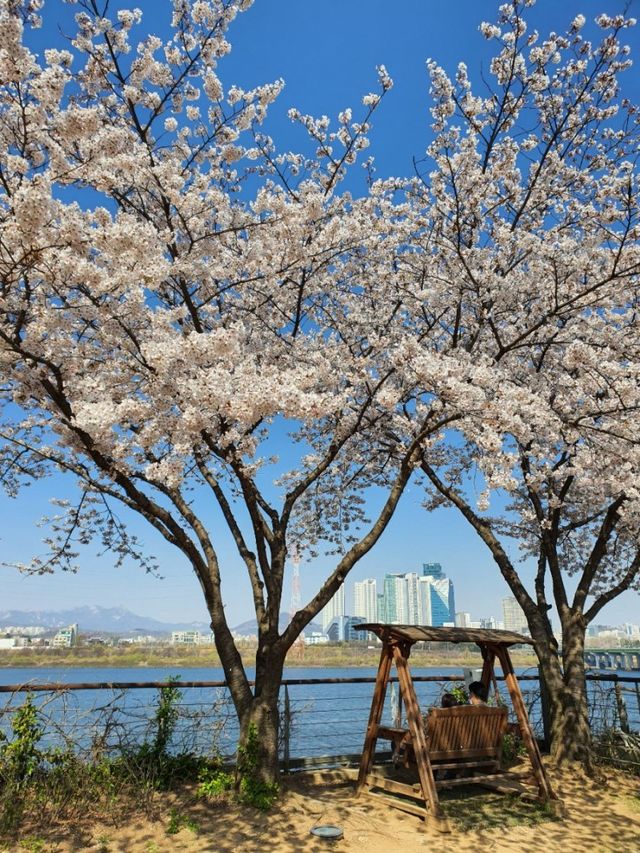 [서울] 곧 봄이 오면 꼭 가야하는 스팟 ‘선유도공원’