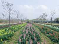 廣洲櫻花樂園