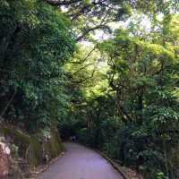 大潭水塘賞山賞水賞春色