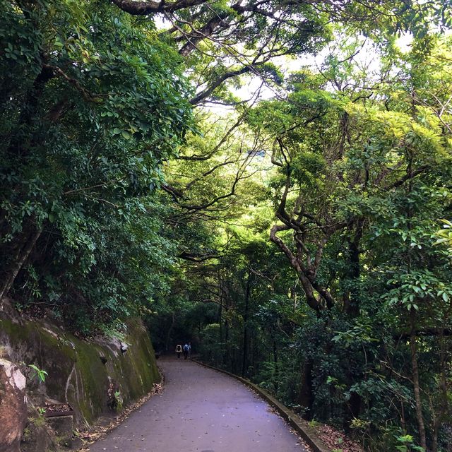 大潭水塘賞山賞水賞春色