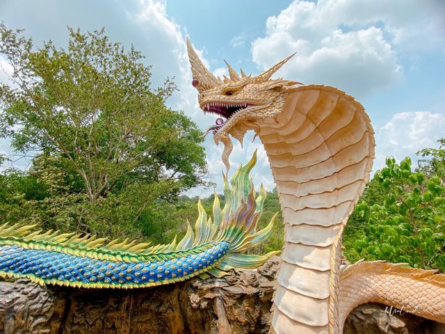 ภูดานไห อ.กุฉินารายณ์ จ.กาฬสินธุ์