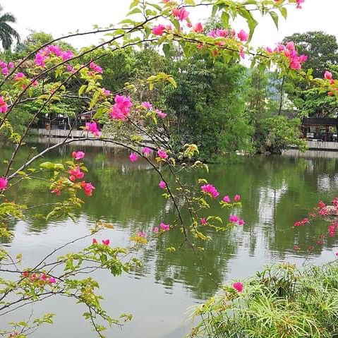 北區公園都可以影得好靚