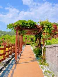 부산 봄나들이 가기 좋은 해운대 수목원 🌿