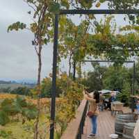 Wine tasting at Yarra Valley, Melbourne