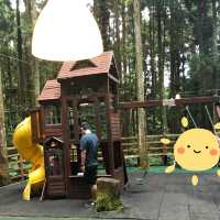 新竹關西｜馬武督探索森林 夏日避暑好去處