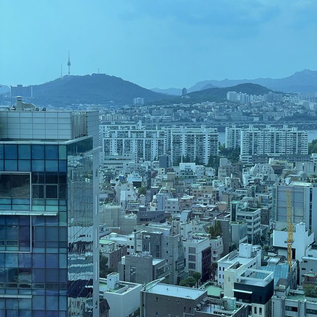 핫한 신상호텔 보코서울 스위트룸