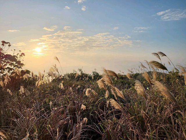 白之天崖🗻~東龍島🌅