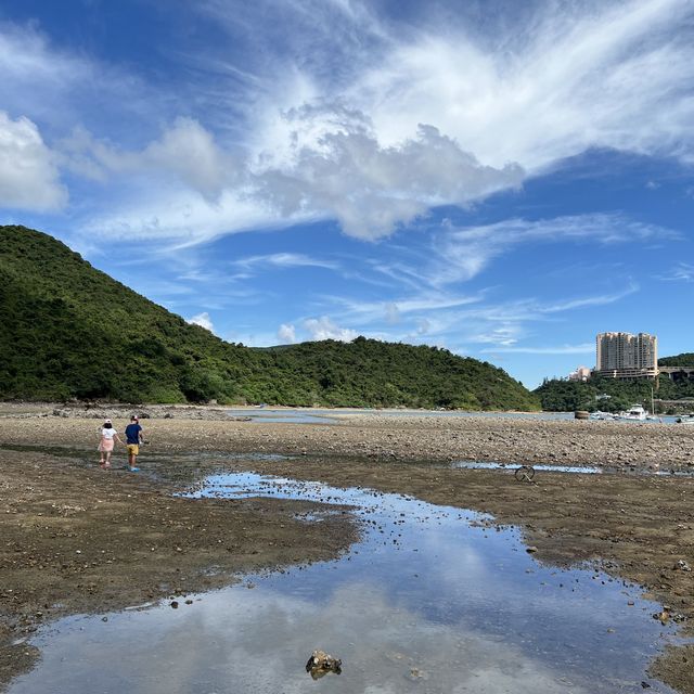 香港唯一有自然環境掩護嘅潮間帶泥灘 香港唯一有自然環境掩護嘅潮間帶泥灘