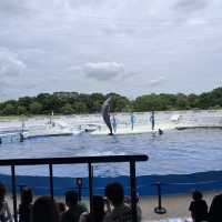 【京都】京都水族館に行ってきた！