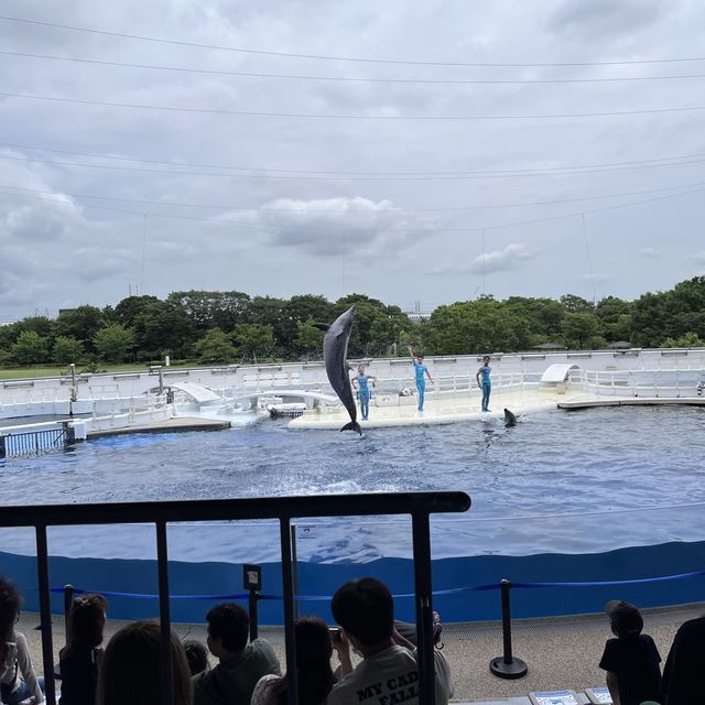 【京都】京都水族館に行ってきた！