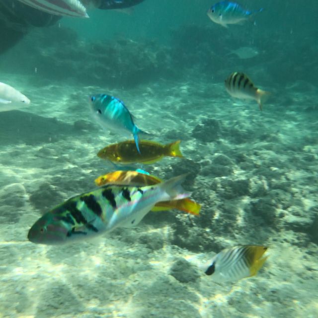 日本で1番　海がきれいな宮古島