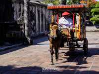 พระราชวังเว้ (Imperial Citadel Hue)