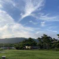 【葉山】芝生が美しい\ 葉山公園 /