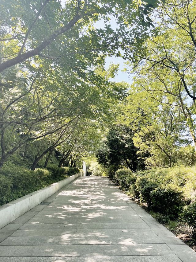 直島＊直島パヴィリオン&地中美術館