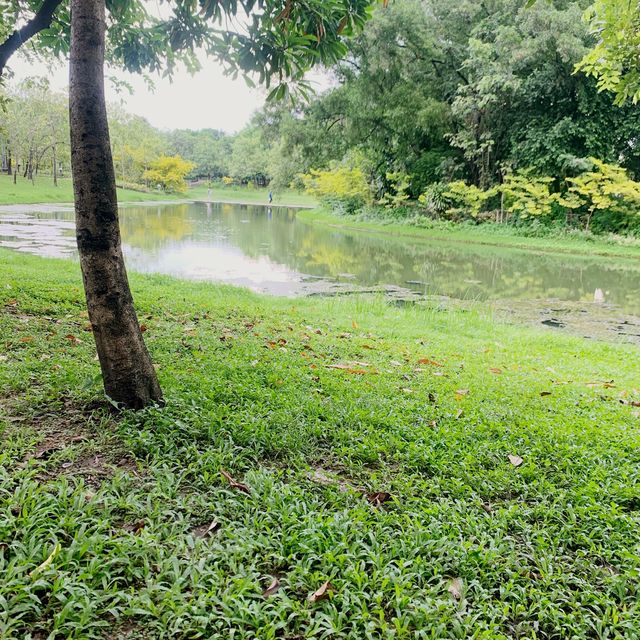 Hidden Park in the Middle of Bangkok