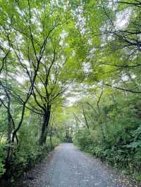 鬼怒川温泉＊星野リゾート 界 鬼怒川　宿泊