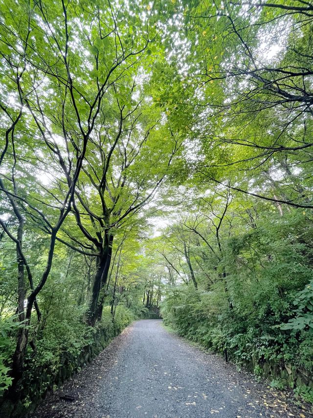 鬼怒川温泉＊星野リゾート 界 鬼怒川　宿泊