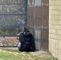 Werribee Open Range Zoo