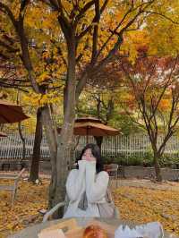 단풍구경과 디저트 일석이조 남양주 [라플렌]🍁