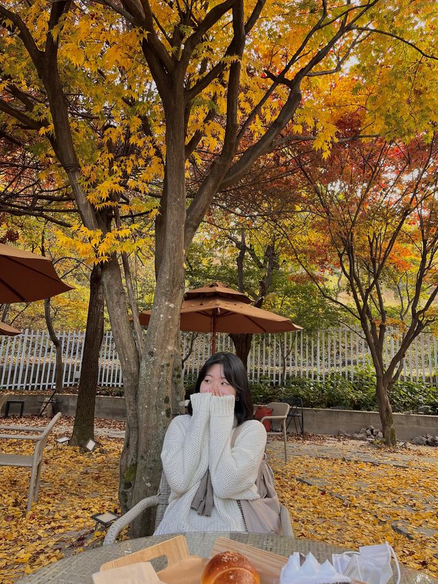 단풍구경과 디저트 일석이조 남양주 [라플렌]🍁