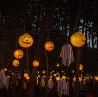 제주 “수목원길야시장”에서 즐기는 할로윈🎃
