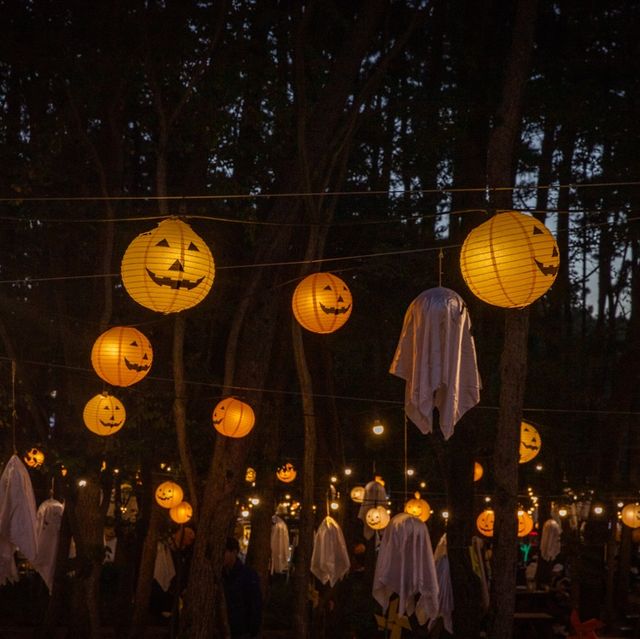제주 “수목원길야시장”에서 즐기는 할로윈🎃
