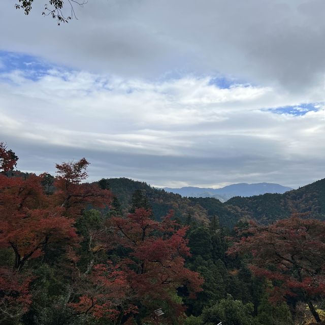 【京都】京都の最強パワースポットで紅葉