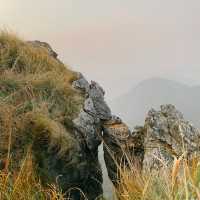 ภูชี้ฟ้า - ชมทะเลหมอกเคล้าลมหนาวท่ามกลางขุนเขา