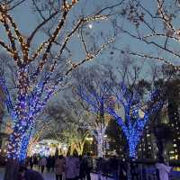 【大阪府】世界を旅するアヒルさんが今年も大阪へ！！