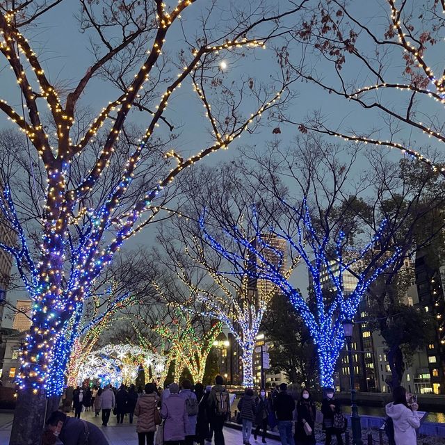 【大阪府】世界を旅するアヒルさんが今年も大阪へ！！
