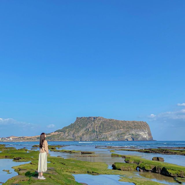 제주 겨울 여행지 추천💙