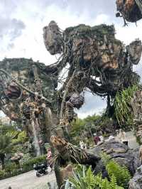 WDW