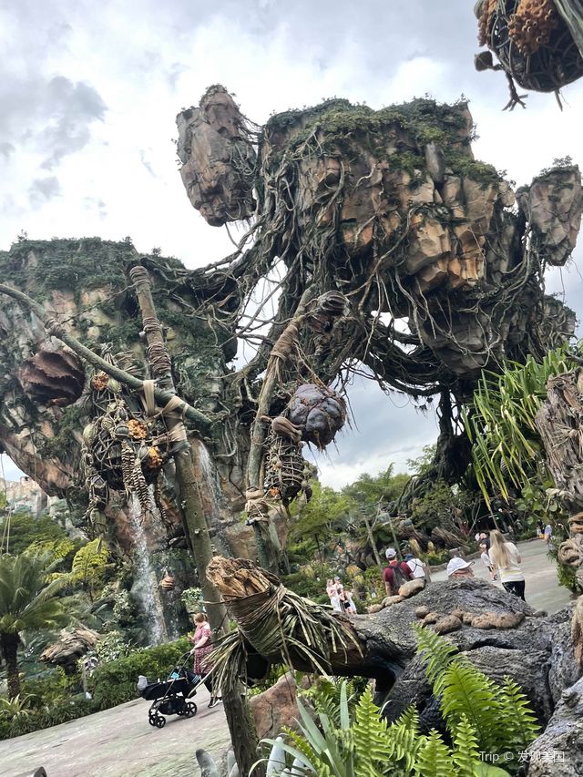 WDW