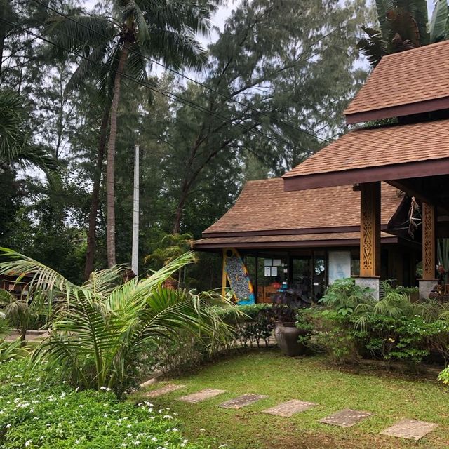 cute resort surrounded by palm trees 