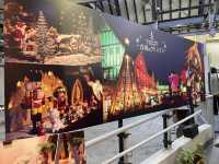 古城のクリスマス開催中🎅ロープウェイで絶景を🫶