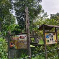 Zoo Taiping, a house of amazing animals.